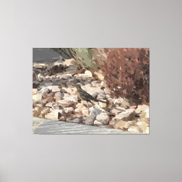 Vogel auf den Felsen Stretched Canvas Print Leinwanddruck