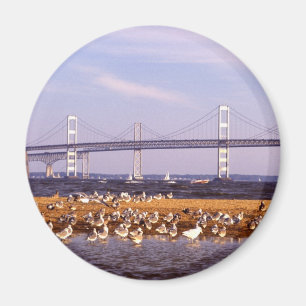 Vögel auf der Chesapeake Bay Magnet