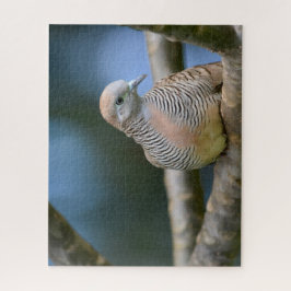Vogel auf einem Baumstreifen