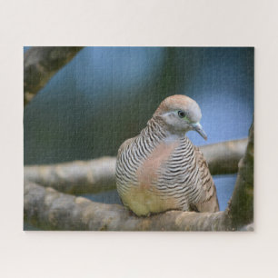 Vogel auf einem Baumstreifen