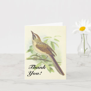 Vogel auf einem Baumzweig, "Danke schön!" Karte
