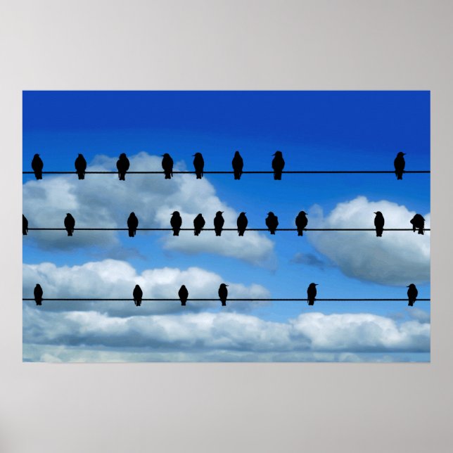 Vögel auf einem Draht Poster (Vorne)
