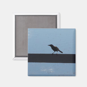 Vögel auf einem Zaunmagnet Magnet