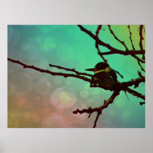Vogel auf einem Zweig - Aqua N Pink Poster