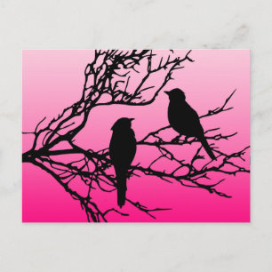 Vögel auf einem Zweig, schwarz gegen Morgenrot Postkarte