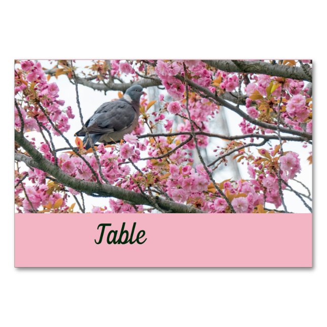 Vogel auf einer blühenden Sakura-Tischkarte Tischnummer (Vorderseite)
