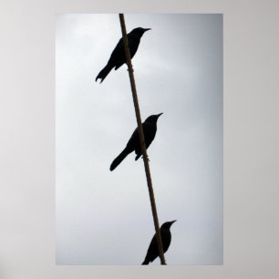 Vögel auf einer Plakatphotographie der Drahtvögel Poster