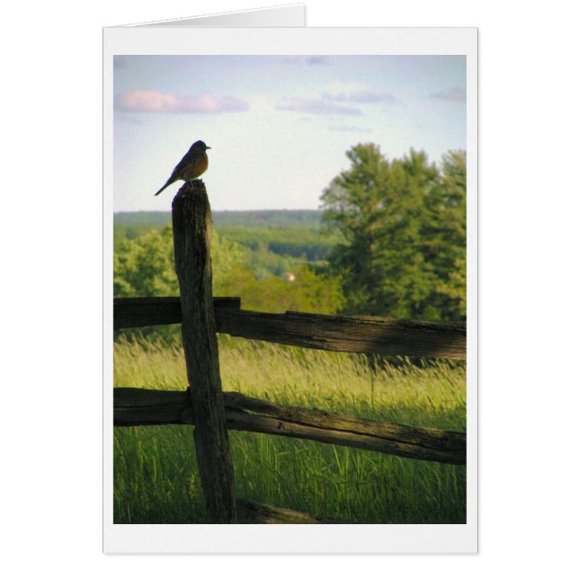 Vogel auf einer Zaun-Karte (Vorne)