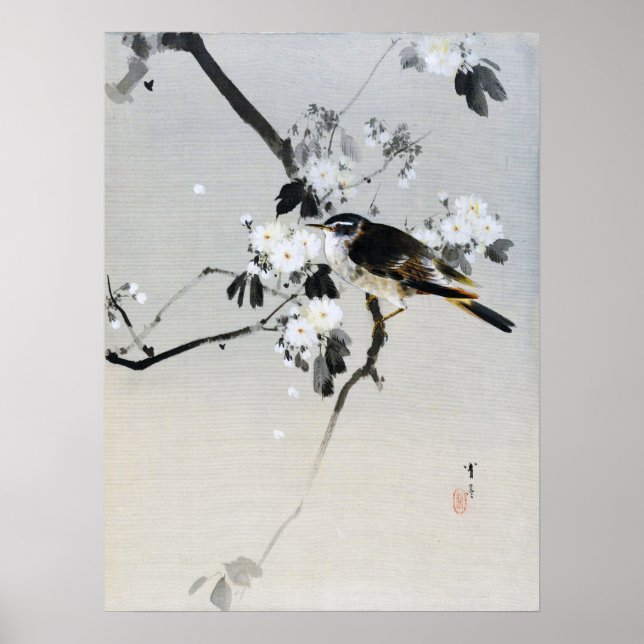 Vogel auf einer Zweigstelle von Cherry Blossom, Wa Poster (Vorne)