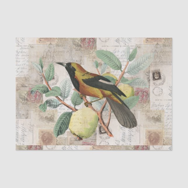 Vogel auf Niederlassungs-Vintagem Seidenpapier (Vorderseite)