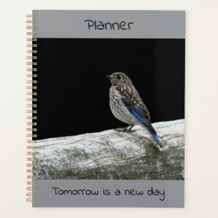 Vogel auf Post - Planer