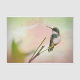 Vogel auf Twig & Pastell Seidenpapier