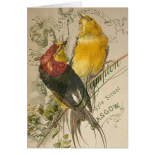 Vögel auf Vintagem Foto zurück