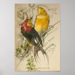 Vögel auf Vintager Foto-Rückseite Poster
