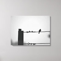 Vogel auf Wire
