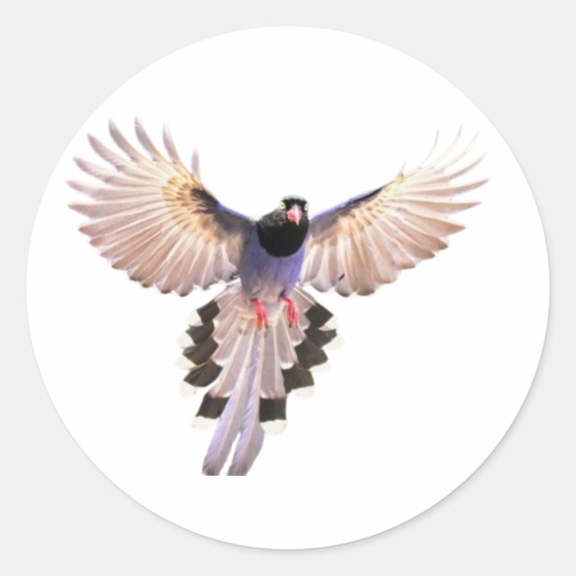 Vogel Aufkleber (Vorderseite)