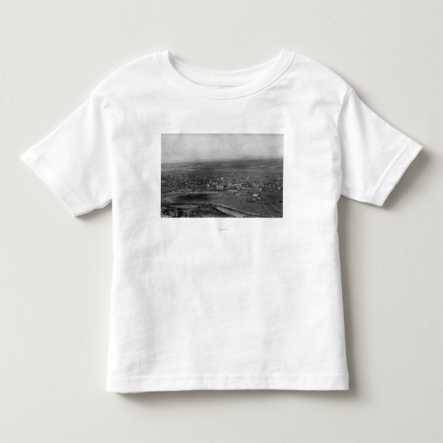 Vogel-Augen-Ansicht des Tal-, Oregon der Kleinkind T-shirt (Vorderseite)