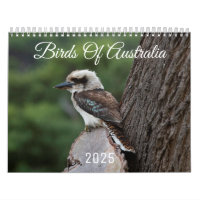 Vögel aus Australien Foto