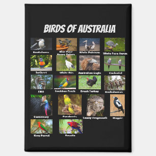 Vögel aus Australien Magnet
