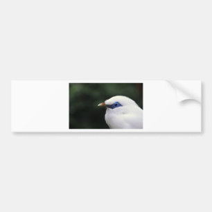 Vögel Autoaufkleber
