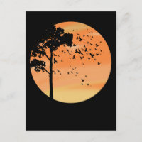 Vögel Baum Schöne Sonnenuntergänge Natur