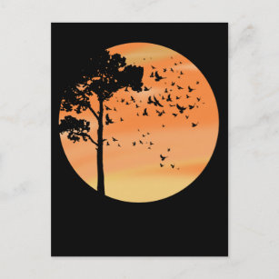 Vögel Baum Schöne Sonnenuntergänge Natur Postkarte
