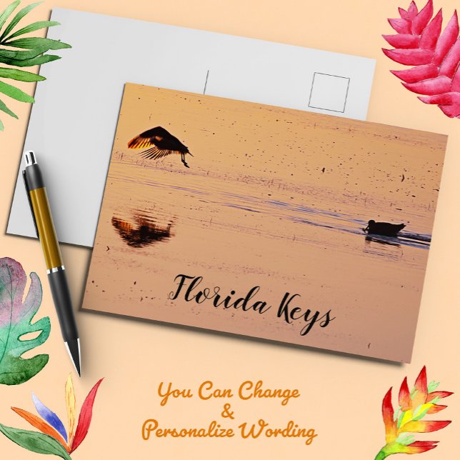 Vögel bei Sonnenuntergang auf Ocean Key West Flori Postkarte (Von Creator hochgeladen)