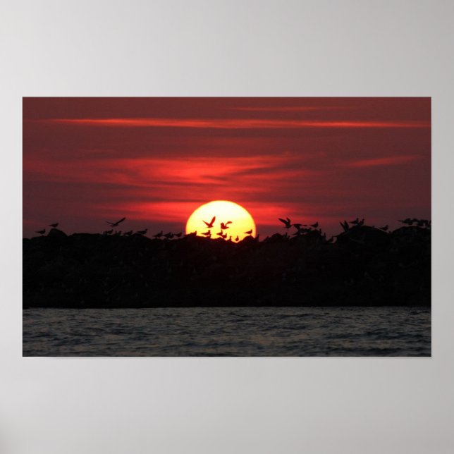 Vögel bei Sonnenuntergang Poster (Vorne)