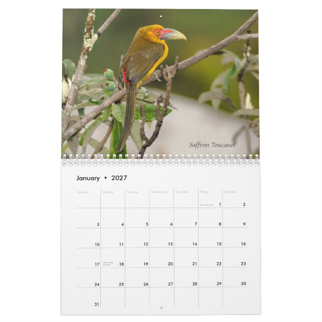 Vögel Brasiliens des atlantischen Waldkalenders Kalender (Jan 2027)
