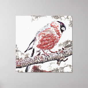 Vogel, Bullfinch, Männchen Leinwanddruck