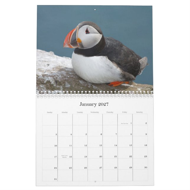 Vogel Calaender 2013-2014 Kalender (Jan 2027)