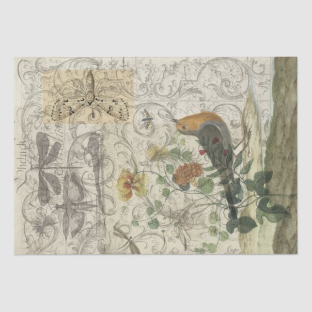 Vogel-Collage Seidenpapier (Vorderseite)