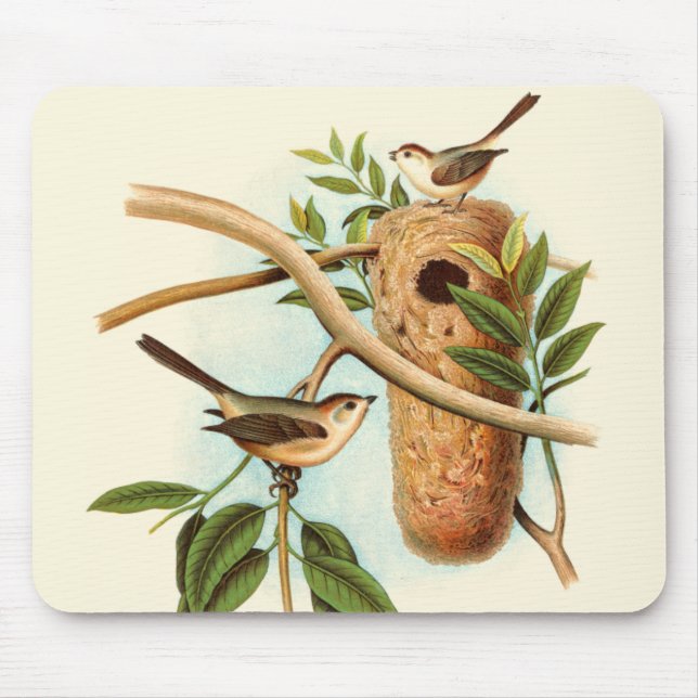 Vogel Couple auf einem Nest auf einem Zweig Mousepad (Vorne)