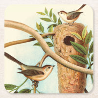 Vogel Couple auf einem Nest auf einem Zweig