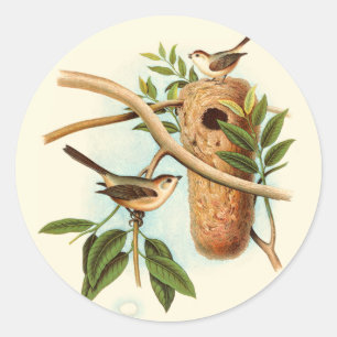 Vogel Couple auf einem Nest auf einem Zweig Runder Aufkleber