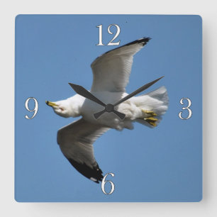 Vögel der World Wildlife Collection Quadratische Wanduhr