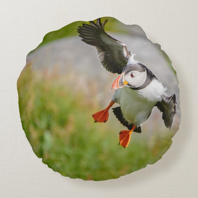 Vogel des atlantischen Papageientauchers, der Rundes Kissen (Rückseite)
