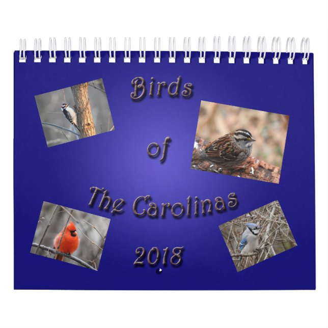 Vögel des Carolinas Kalender (Titelbild)