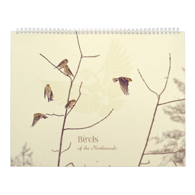 Vögel des Northwoods Kalenders Kalender (Titelbild)