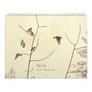 Vögel des Northwoods Kalenders Kalender