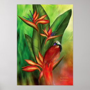 Vögel des Paradieses Art Poster/Print Poster