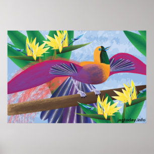 Vögel des Paradise Poster