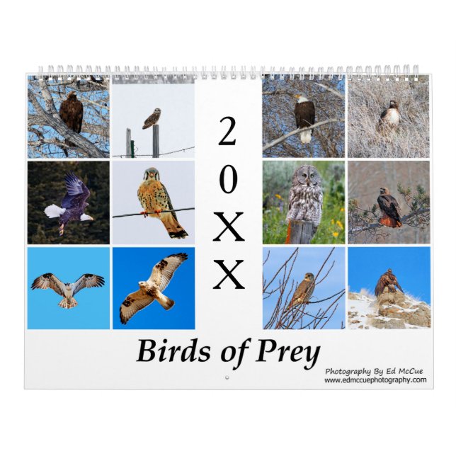 Vögel des Prey Calendar Kalender (Titelbild)