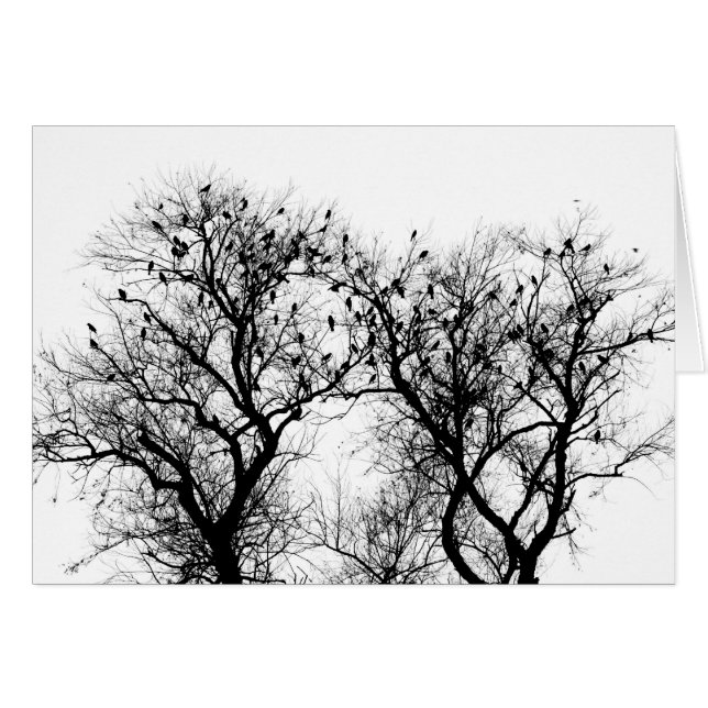 Vögel des Winters (Vorderseite (Horizontal))