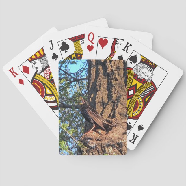 Vögel, die Karten spielen Spielkarten (Rückseite)