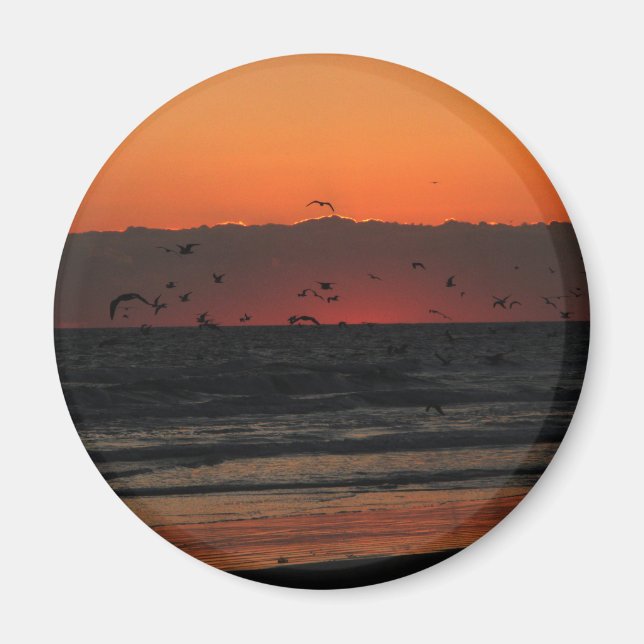 Vögel, die über den Ozeansonnenuntergang fliegen Magnet (Vorne)