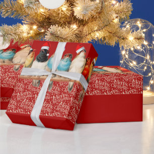 Vögel, die Weihnachtsmannmützen tragen Geschenkpapier