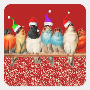 Vögel, die Weihnachtsmannmützen tragen Quadratischer Aufkleber