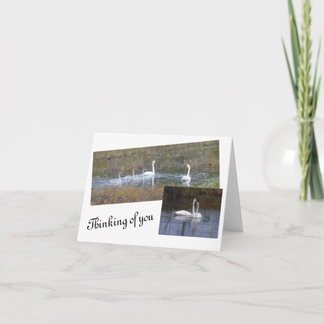 Vögel einer Feather Blank-Mitteilungskarten Dankeskarte (Vorderseite)