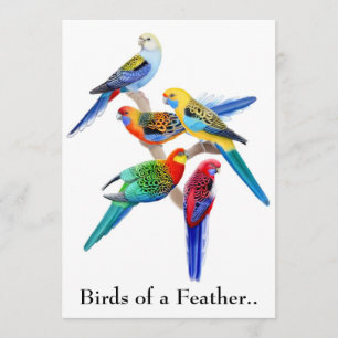 Vögel einer Feather Parrots-Party Einladung